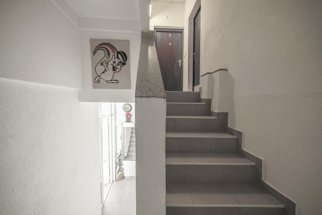 Apartmani Krizanovic 沃迪切 外观 照片